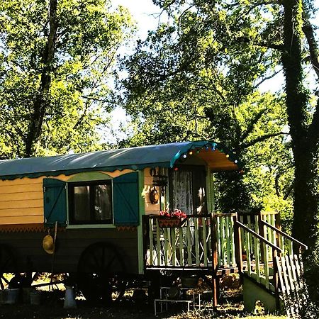 Saint-Paul-en-Forêt "La Brindille" Roulotte Tzigane De Charme Hebergement Insolite מראה חיצוני תמונה